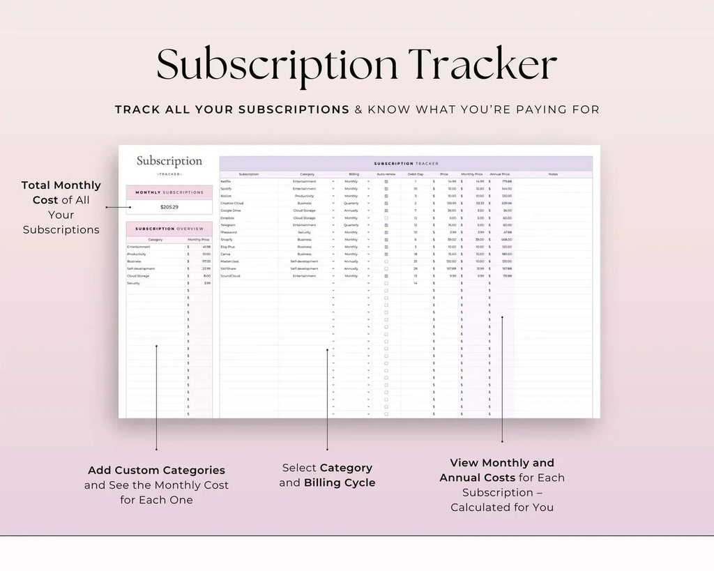 Paycheck Budget V-1 - MintLabs