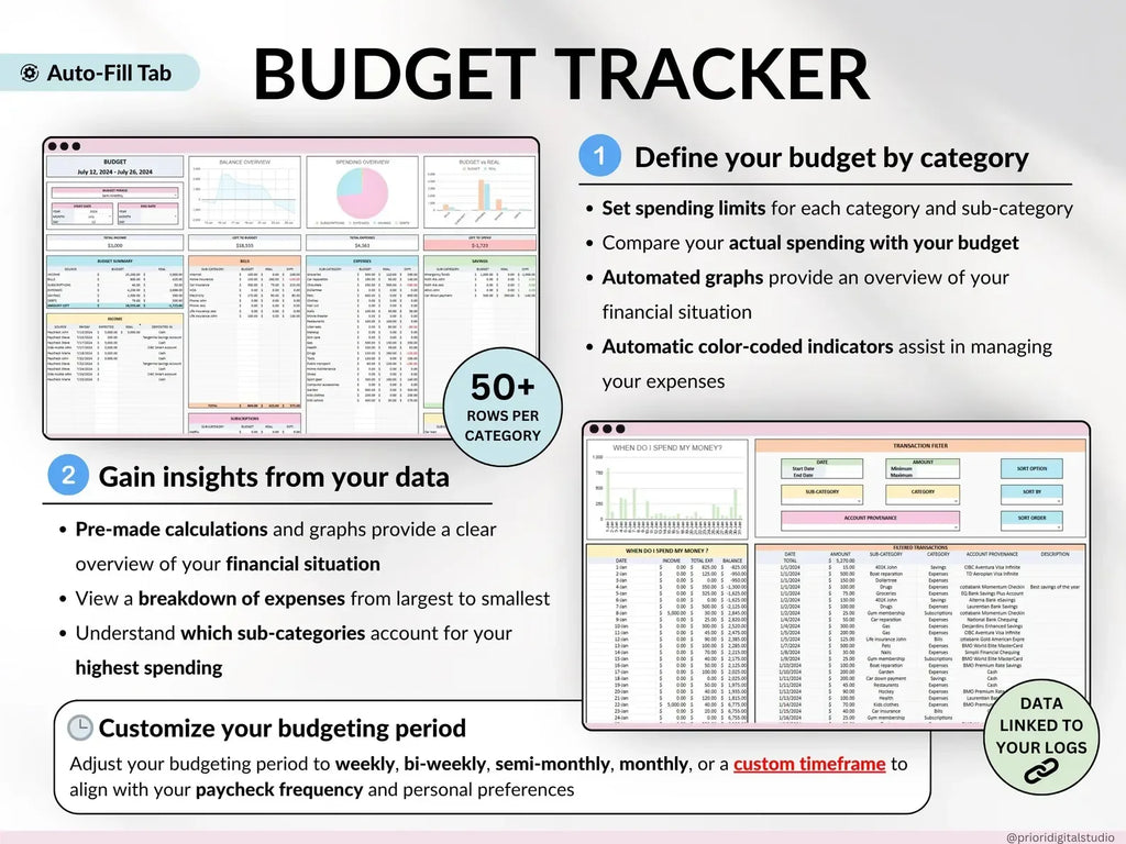 Paycheck Budget V-3 - MintLabs
